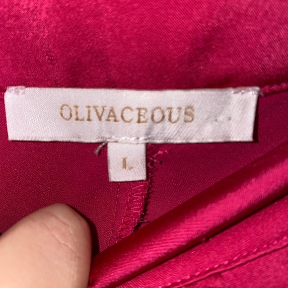 Ruby and Jenna : Oliveaceous pink cargo silk pants - Picture 4 of 4